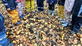 Kindergarten E, Gärtli